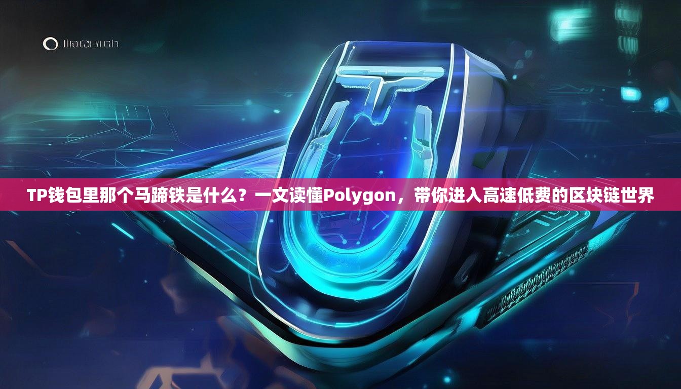 TP钱包里那个马蹄铁是什么？一文读懂Polygon，带你进入高速低费的区块链世界