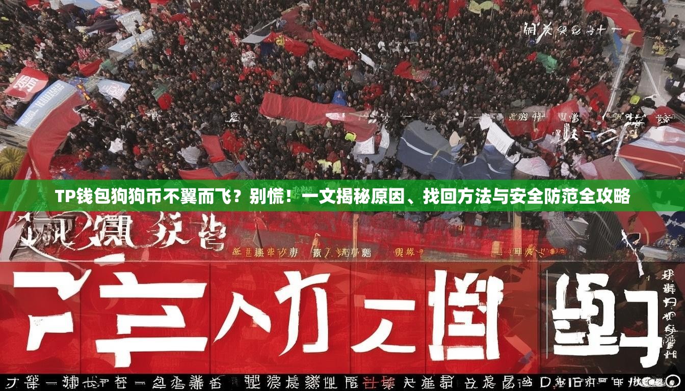 TP钱包狗狗币不翼而飞？别慌！一文揭秘原因、找回方法与安全防范全攻略